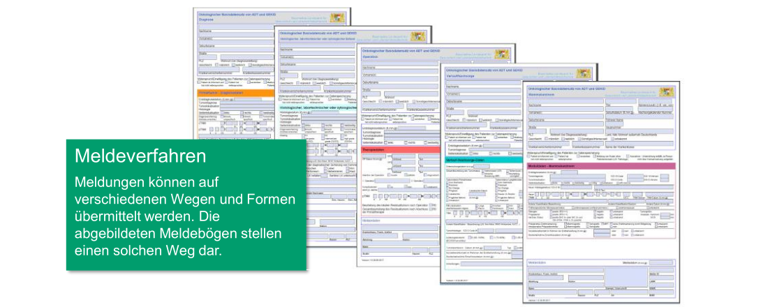 Abbildung der anlass- und modulbezogenen Meldebögen