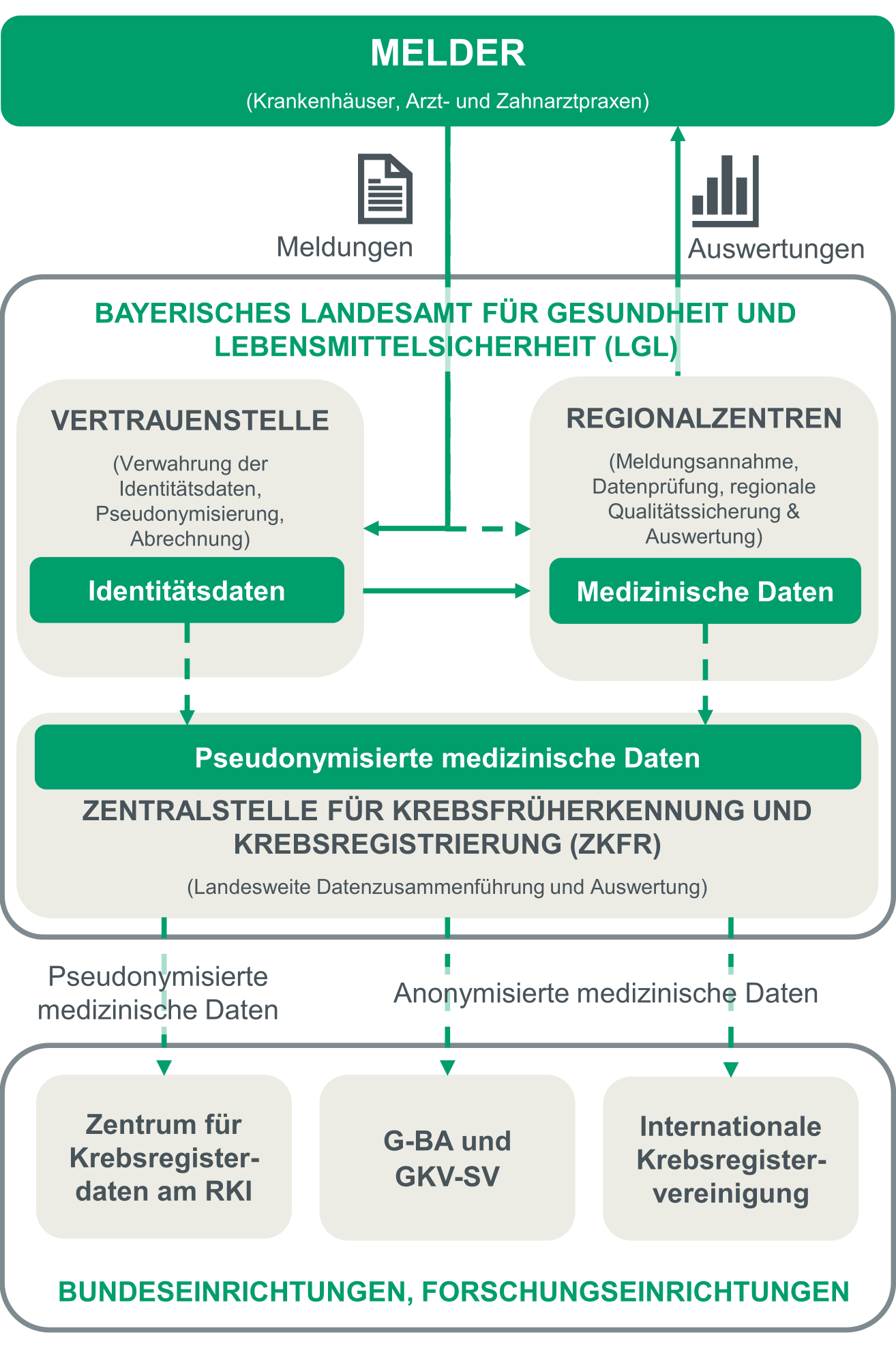 Darstellung des Meldewegs des bayerischen Krebsregisters