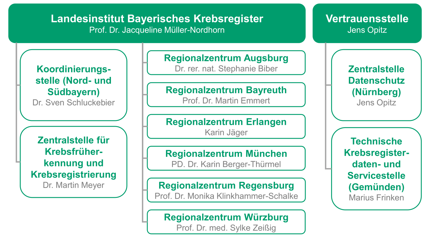 Organigramm des Bayrischen Krebsregisters