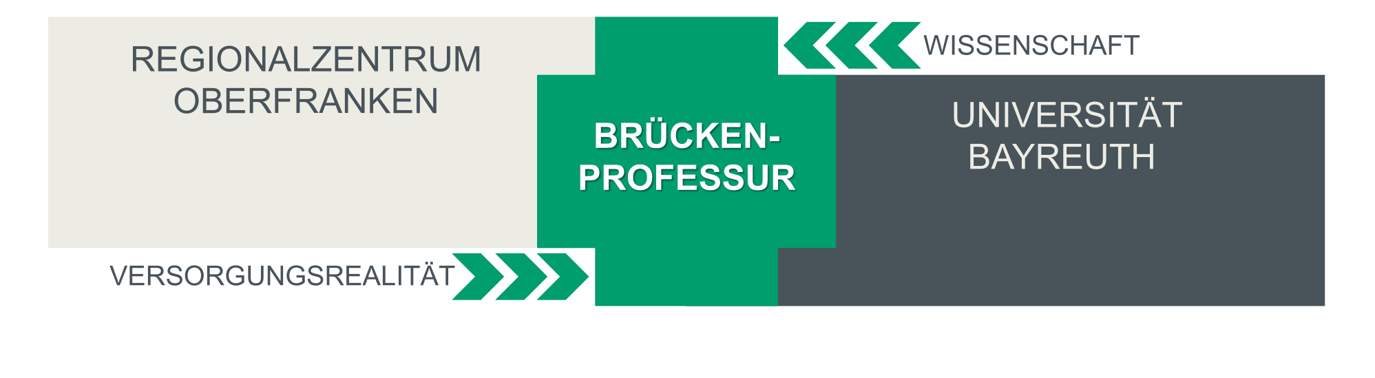 Grafische Darstellung der Funktion einer Brückenprofessur, als Verzahnung zwischen dem Krebsregister Oberfranken und der Universität Bayreuth
